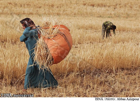 خبرگزاری پورسینا